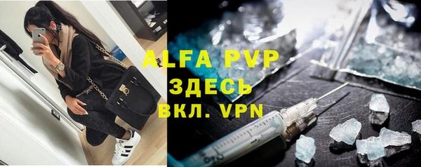гашик Зеленокумск